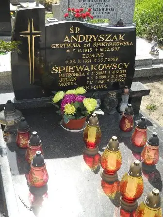 Zdjęcie grobu 28/266,267