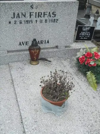 Zdjęcie grobu 43/177,178