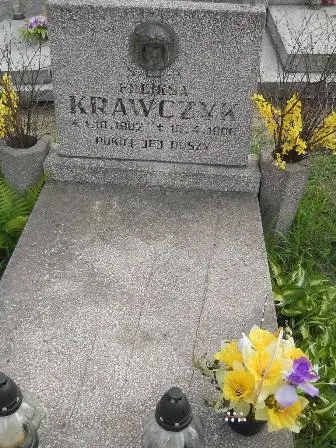 Zdjęcie grobu 44/247