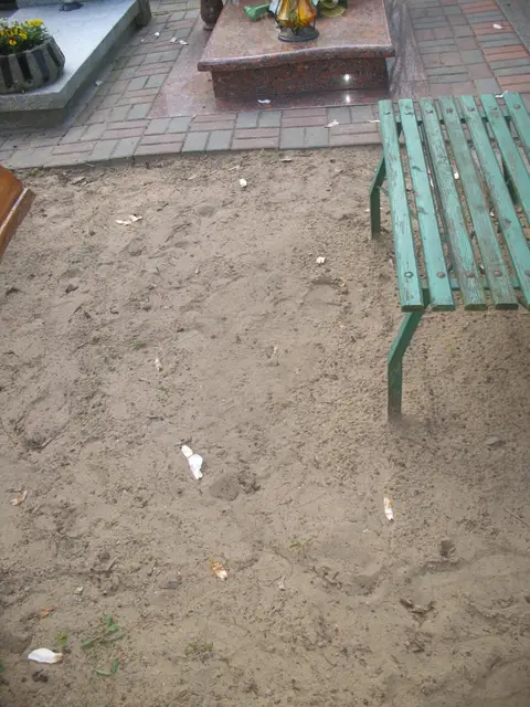 Zdjęcie grobu 8/105931