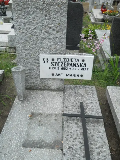 Zdjęcie grobu 5/22601
