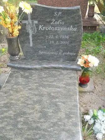 Zdjęcie grobu 23/100