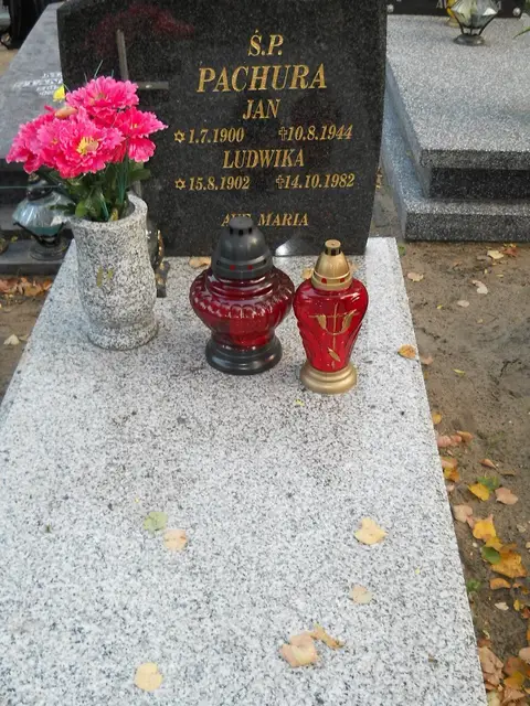 Zdjęcie grobu 14/26904