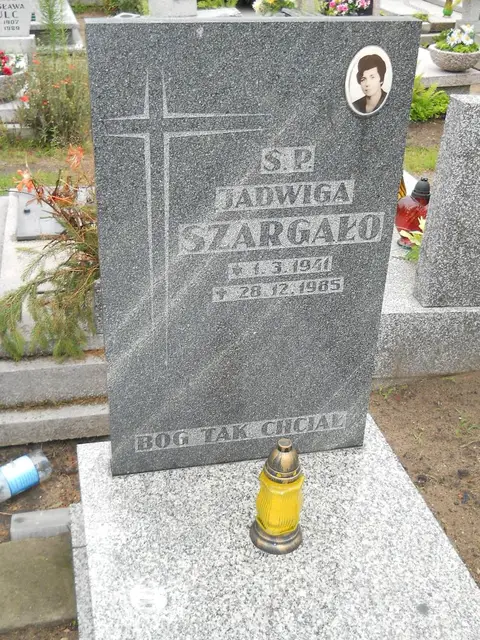 Zdjęcie grobu 24/23394