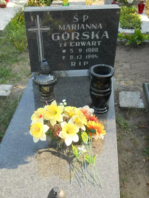 Zdjęcie grobu 14/27779