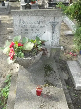 Zdjęcie grobu 27/313