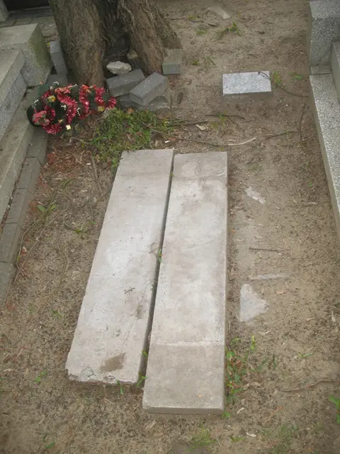 Zdjęcie grobu 8A/10305