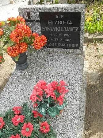 Zdjęcie grobu 27/100