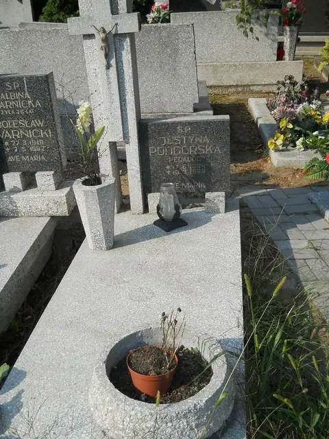 Zdjęcie grobu 18/28646