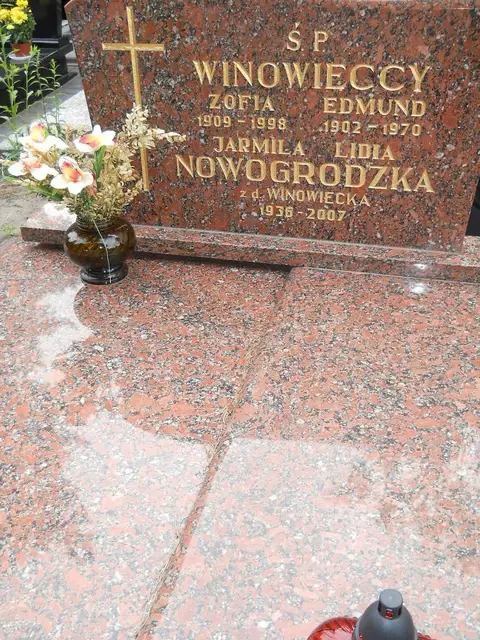 Zdjęcie grobu 7/11136