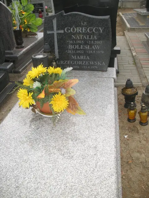 Zdjęcie grobu 7/120476