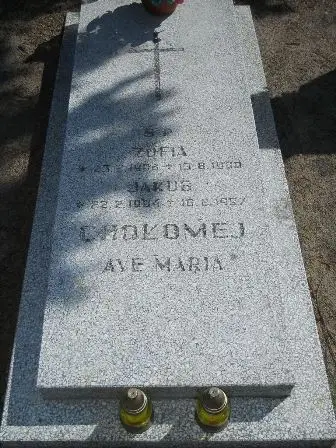 Zdjęcie grobu 46/41