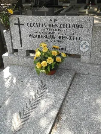 Zdjęcie grobu 25/5,6