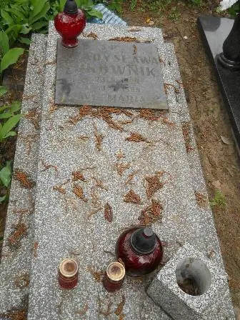 Zdjęcie grobu L/39