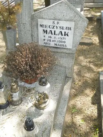 Zdjęcie grobu 26/117