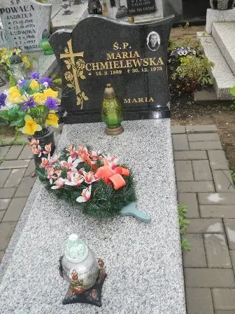 Zdjęcie grobu 36/133