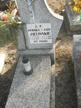 Zdjęcie grobu 6/536
