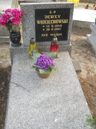 Zdjęcie grobu 23/119a
