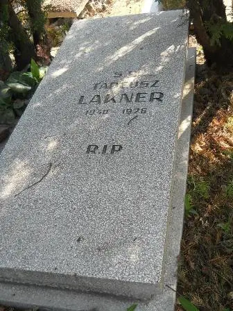 Zdjęcie grobu 42/34