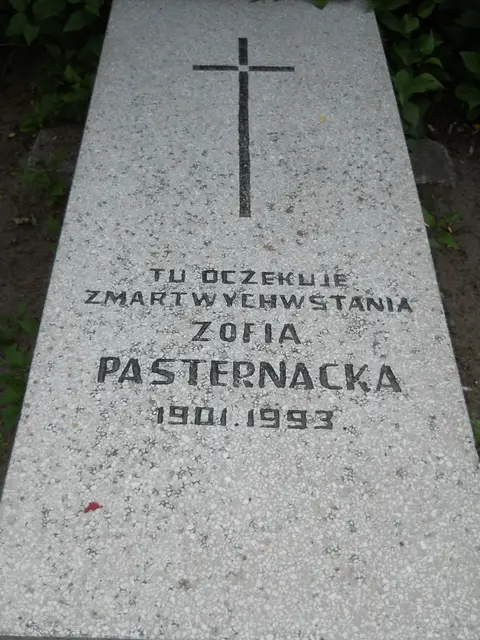 Zdjęcie grobu 13/12183