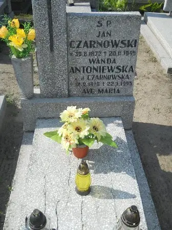 Zdjęcie grobu 20/198