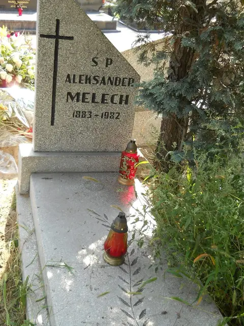 Zdjęcie grobu 18/28477