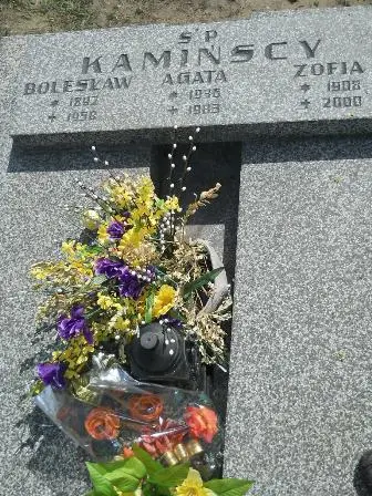 Zdjęcie grobu 27/100