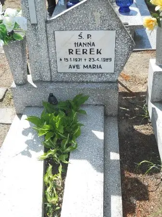Zdjęcie grobu 25/56