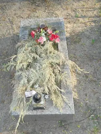Zdjęcie grobu 7b/100
