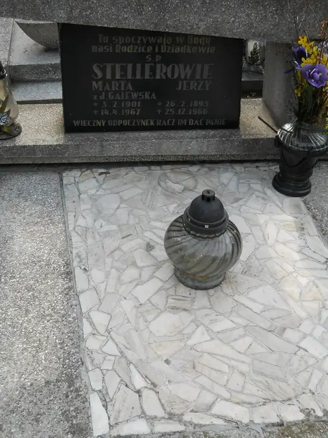 Zdjęcie grobu 8/10607