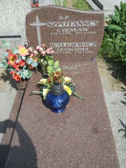 Zdjęcie grobu 7/11751