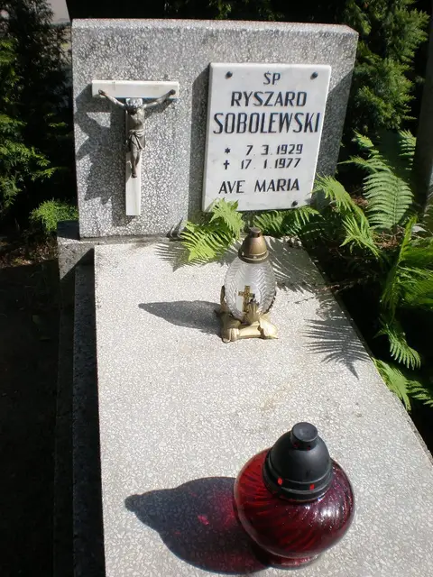 Zdjęcie grobu 8A/20216