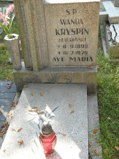 Zdjęcie grobu 14/27214