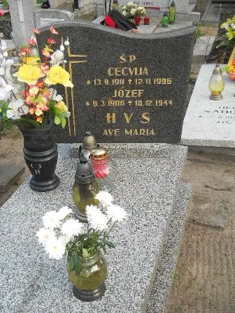 Zdjęcie grobu 37/109,110