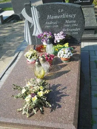 Zdjęcie grobu 29/170,171