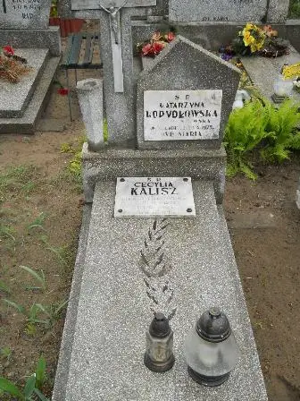 Zdjęcie grobu 36/54