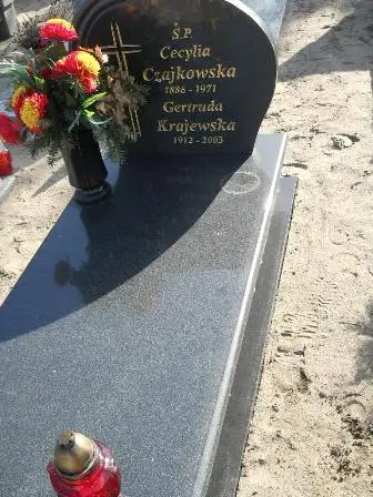 Zdjęcie grobu 100/100