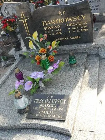 Zdjęcie grobu 1/17,18