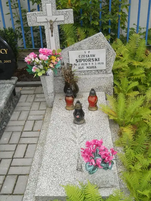 Zdjęcie grobu 14/25989