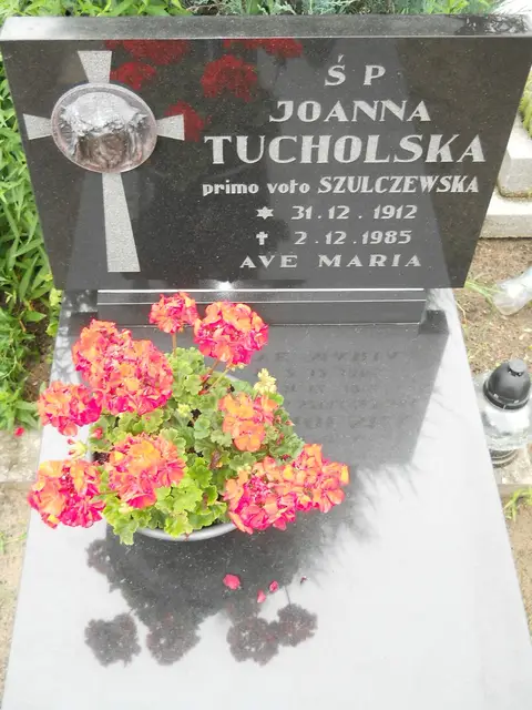 Zdjęcie grobu 24/23393