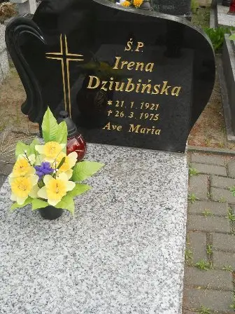Zdjęcie grobu 23/223