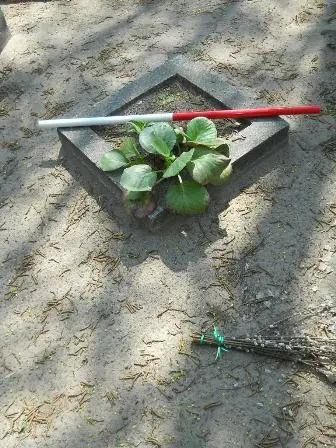 Zdjęcie grobu 30/100