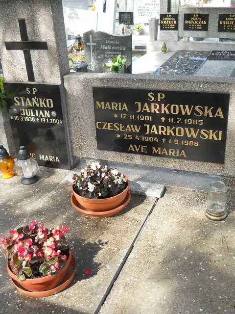 Zdjęcie grobu 7/11310