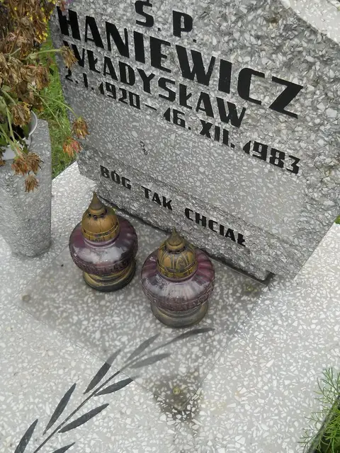 Zdjęcie grobu 24/23316