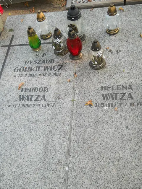 Zdjęcie grobu 15/26738