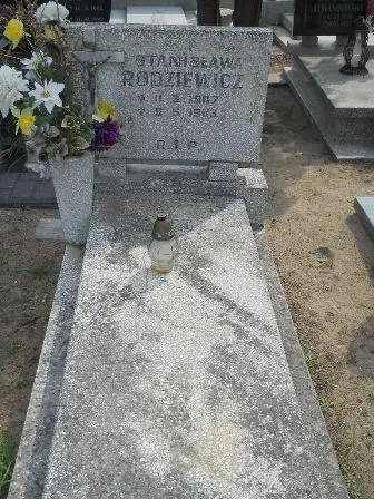 Zdjęcie grobu 43/100