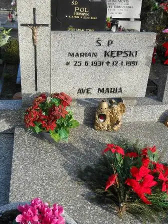 Zdjęcie grobu 100/80,81