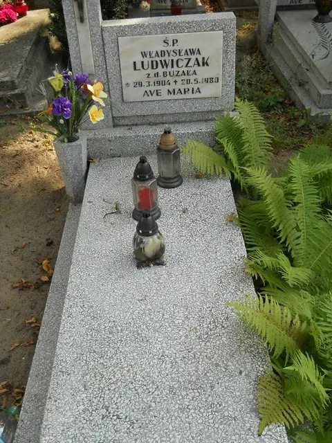 Zdjęcie grobu 19/812/80