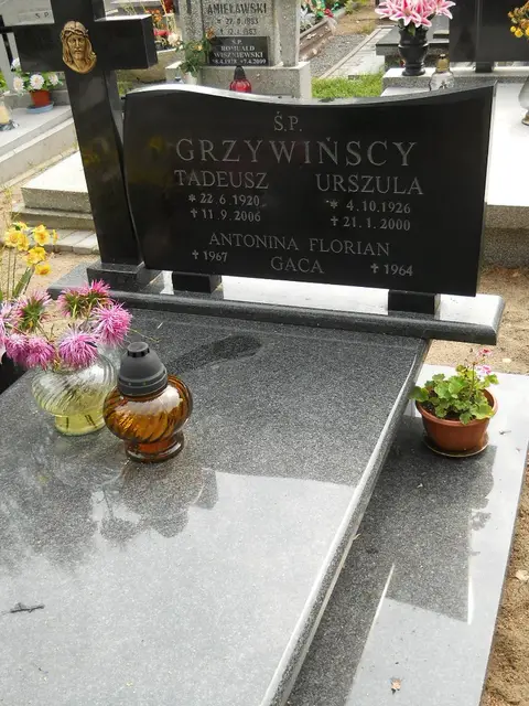 Zdjęcie grobu 16/26229