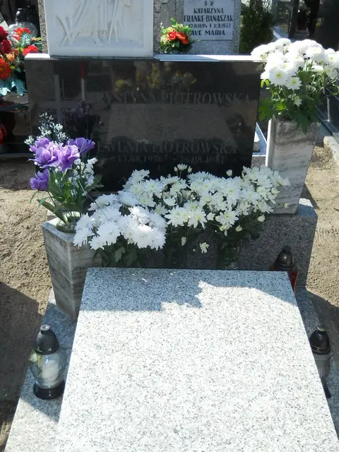 Zdjęcie grobu 14/27116